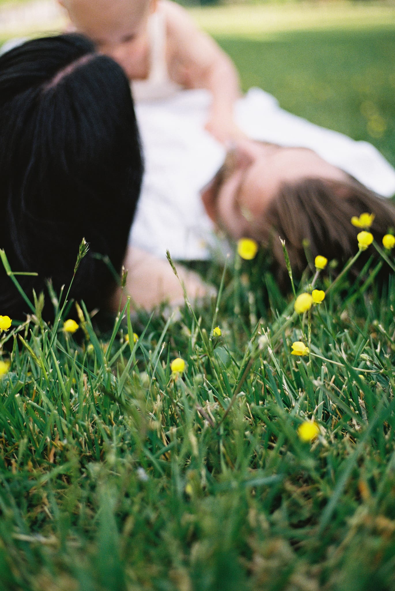 Outdoor family session, parents are on the grass while photograph is focused on the grass flowers.